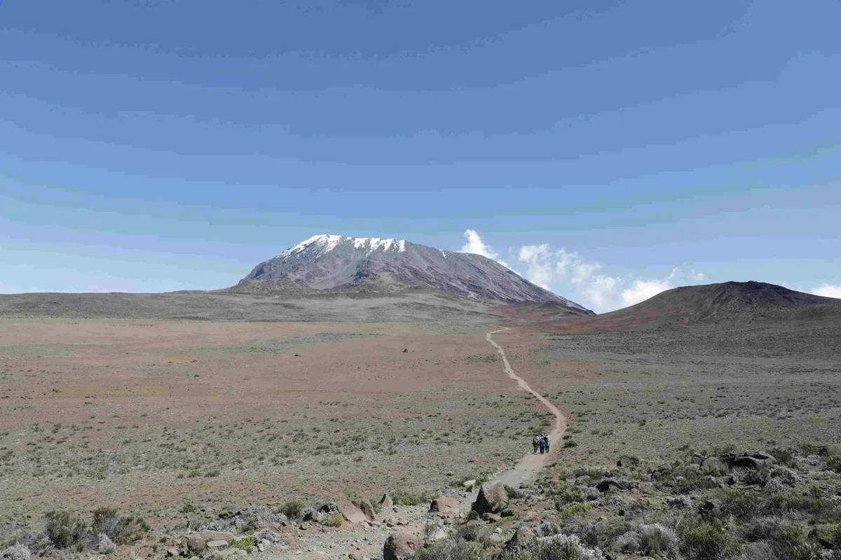Walking trail across alpine terrain towards Kilimanjaro