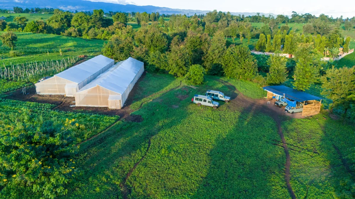 Nyange safari vehicles beside the garage and farm